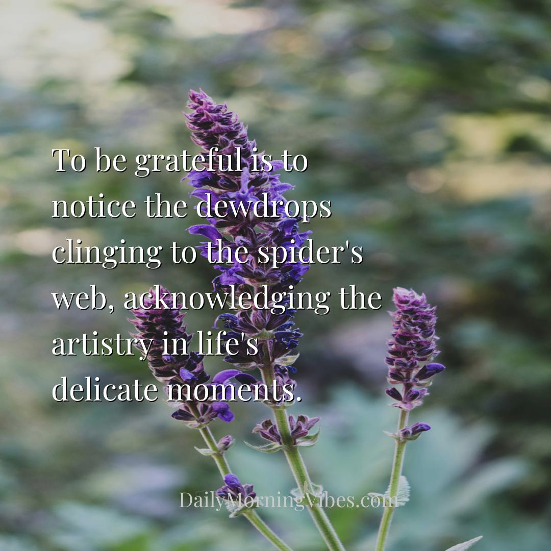 Morning Vibe - To be grateful is to notice the dewdrops clinging 