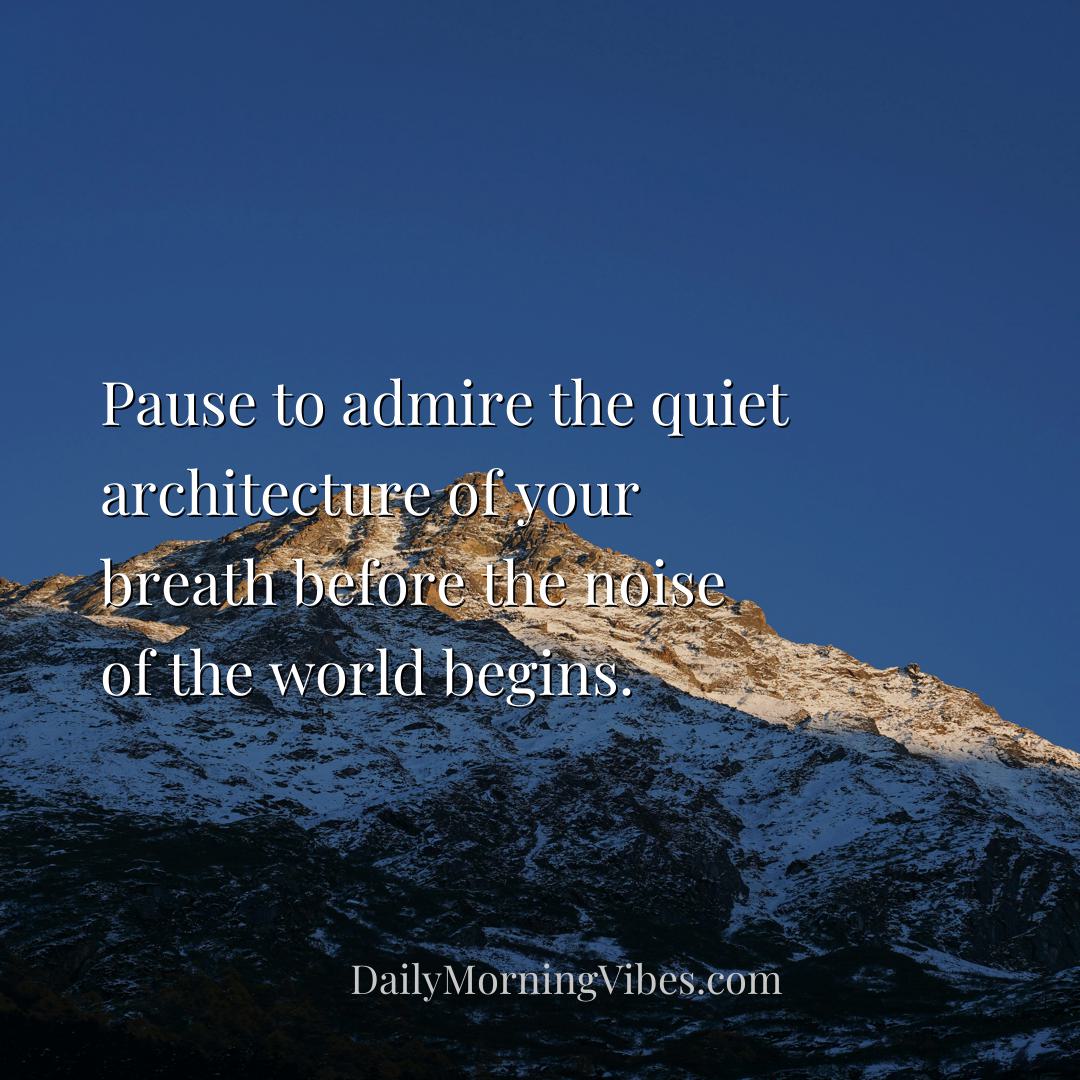 Morning Vibe - Pause to admire the quiet architecture of your bre