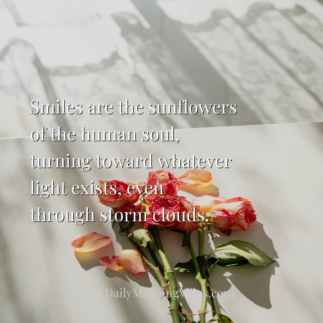 Morning Vibe - Smiles are the sunflowers of the human soul, turni