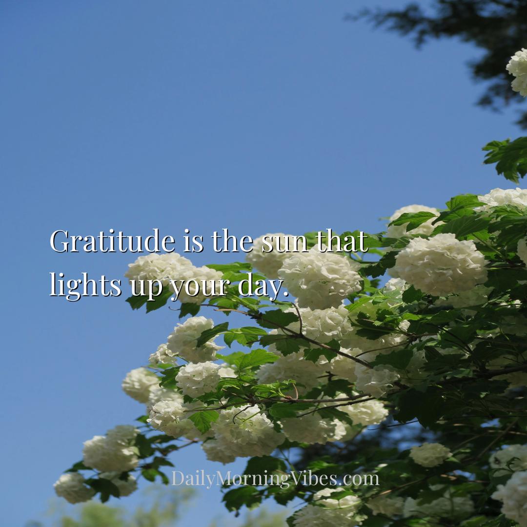 Morning Vibe - Gratitude is the sun that lights up your day.