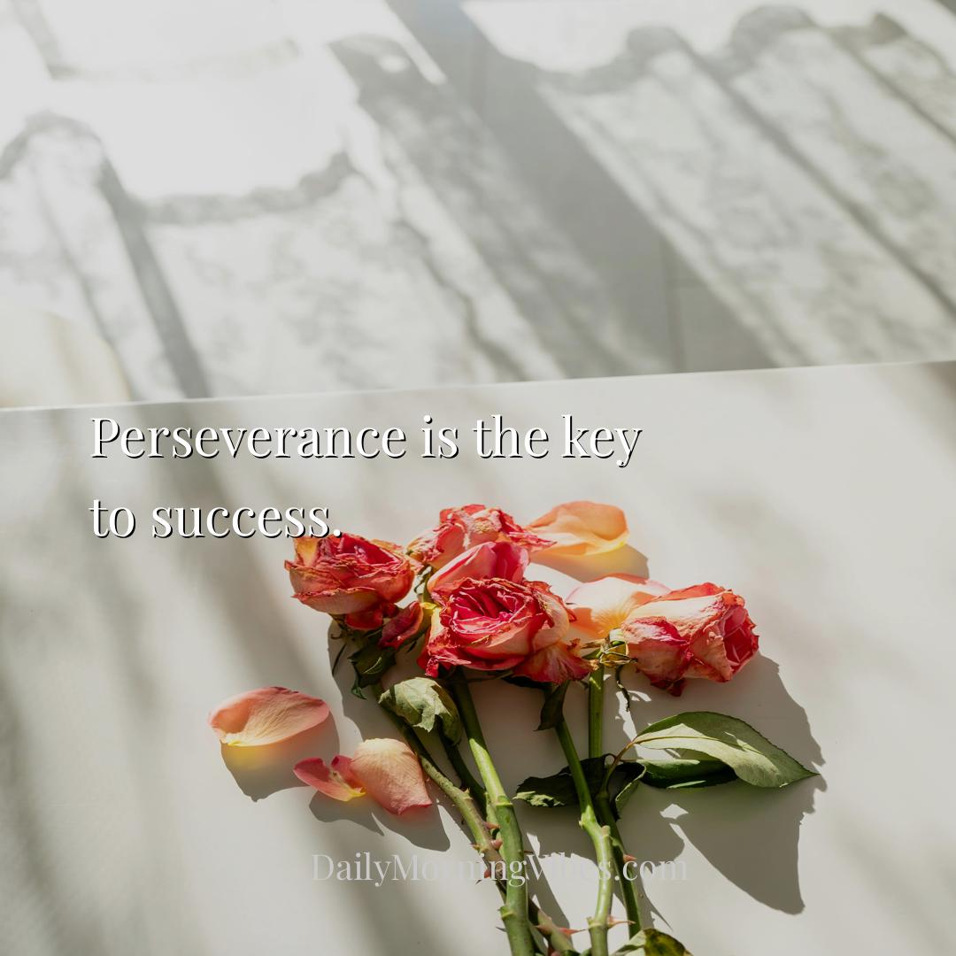 Morning Vibe - Perseverance is the key to success.