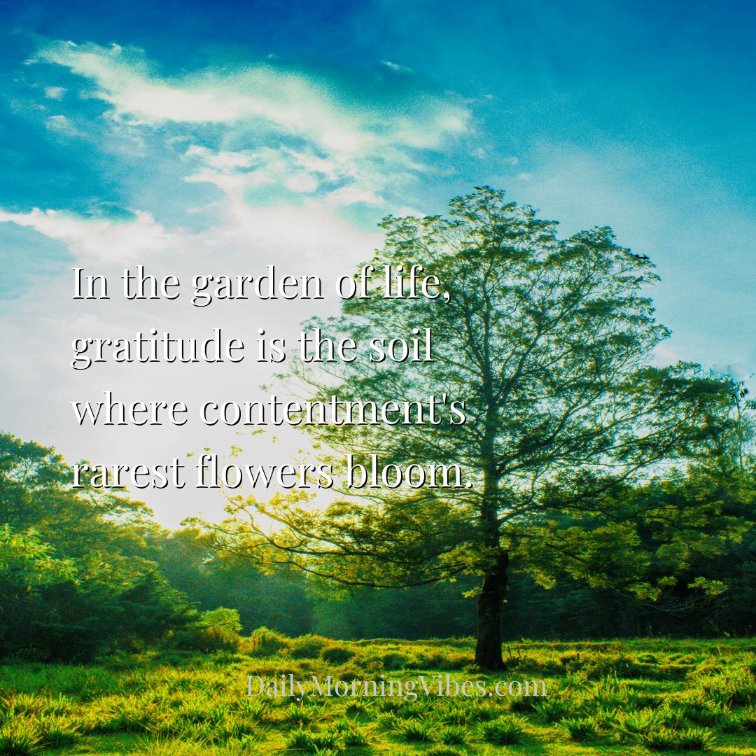 Morning Vibe - In the garden of life, gratitude is the soil where