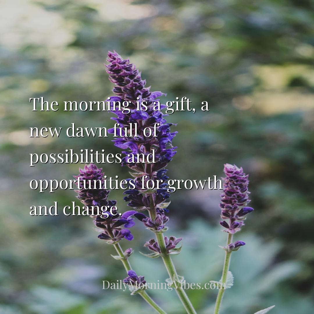 Morning Vibe - The morning is a gift, a new dawn full of possibil