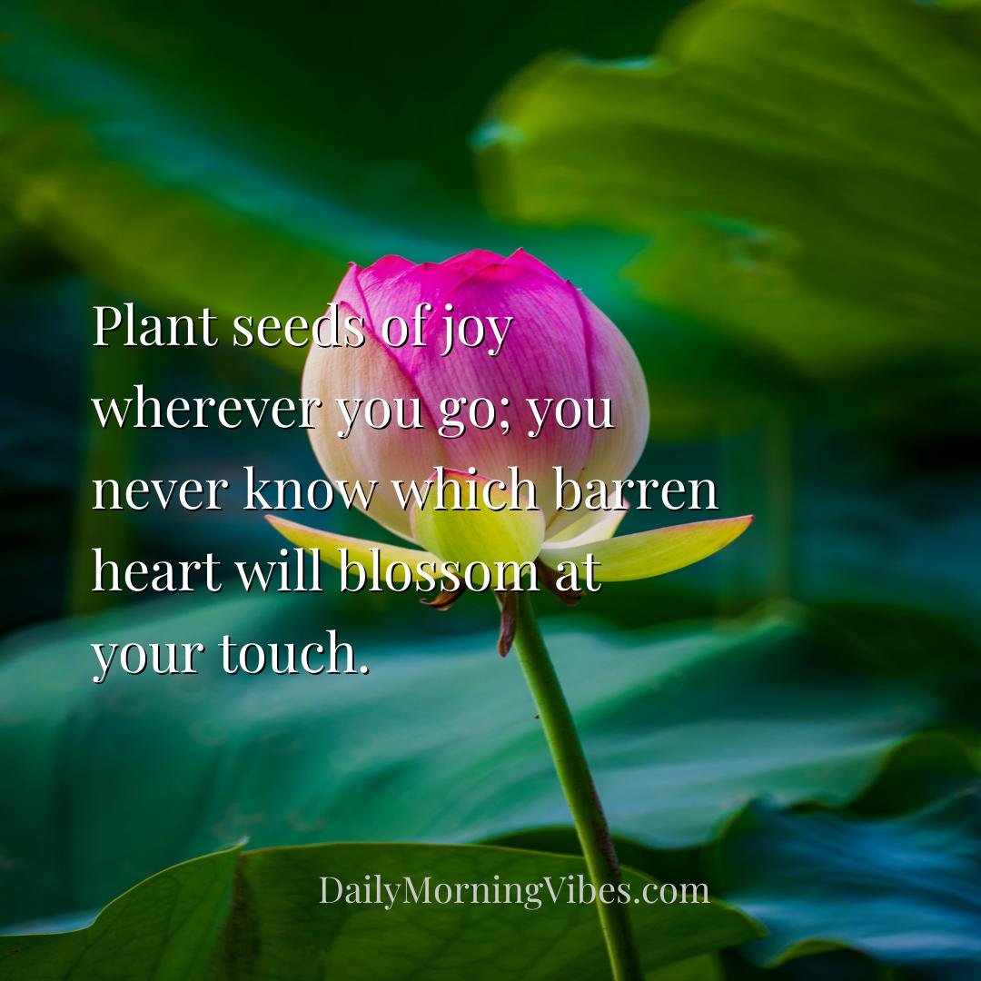 Morning Vibe - Plant seeds of joy wherever you go; you never know