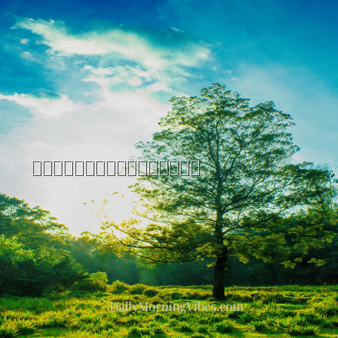 Morning Vibe - 积极是通往无数可能性的大门钥匙。