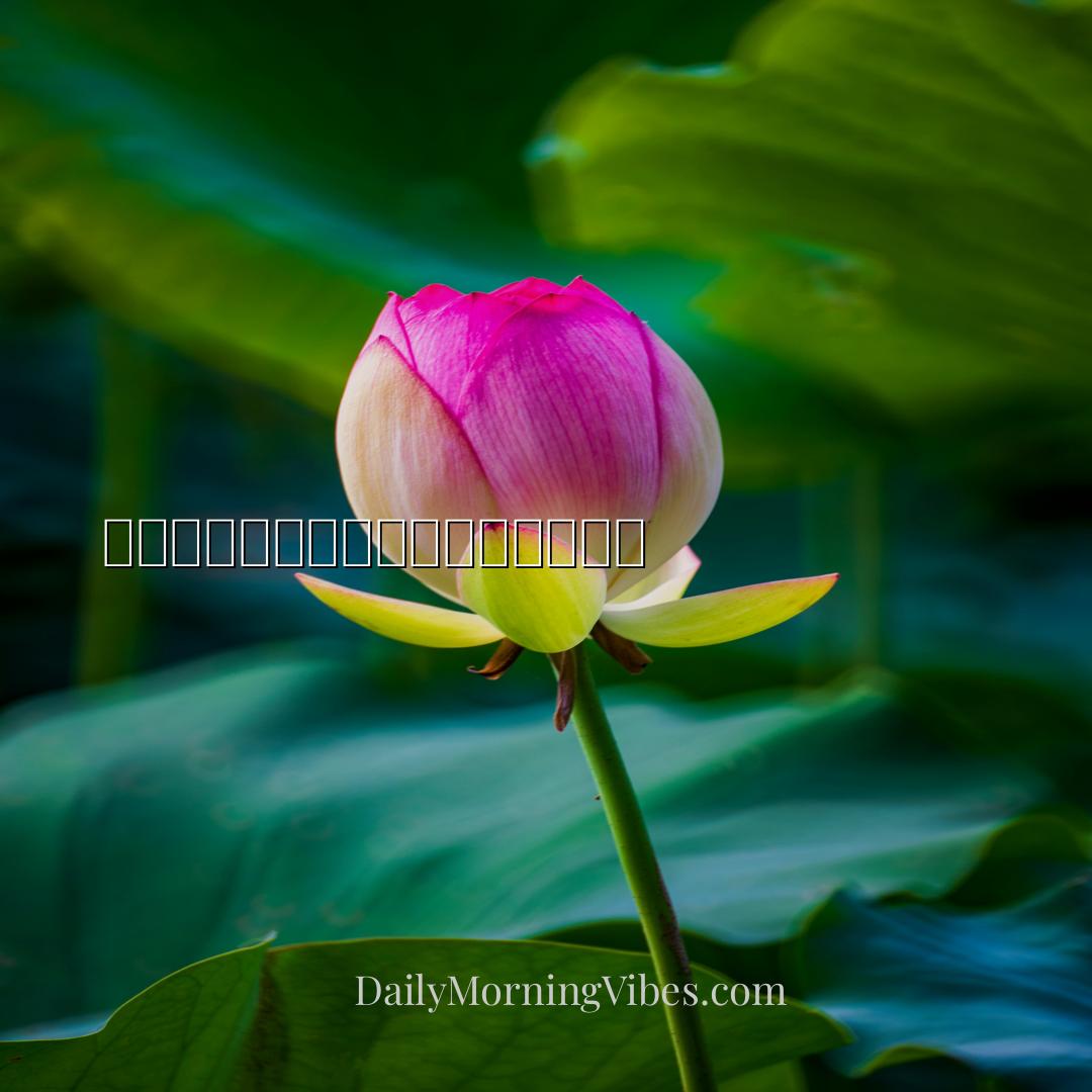 Morning Vibe - 数数你的恩赐，让感恩充满你的心。