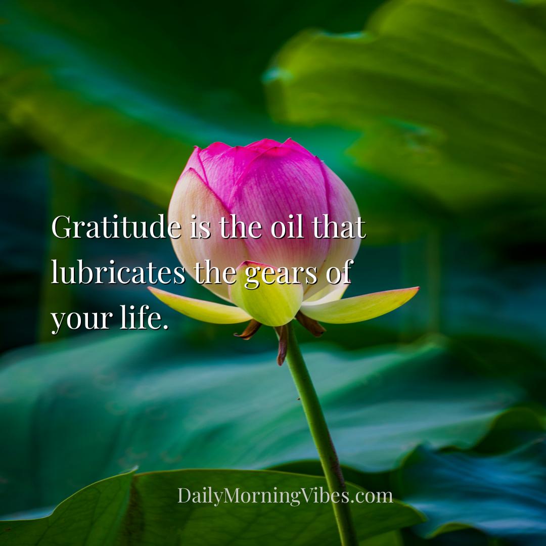 Morning Vibe - Gratitude is the oil that lubricates the gears of 