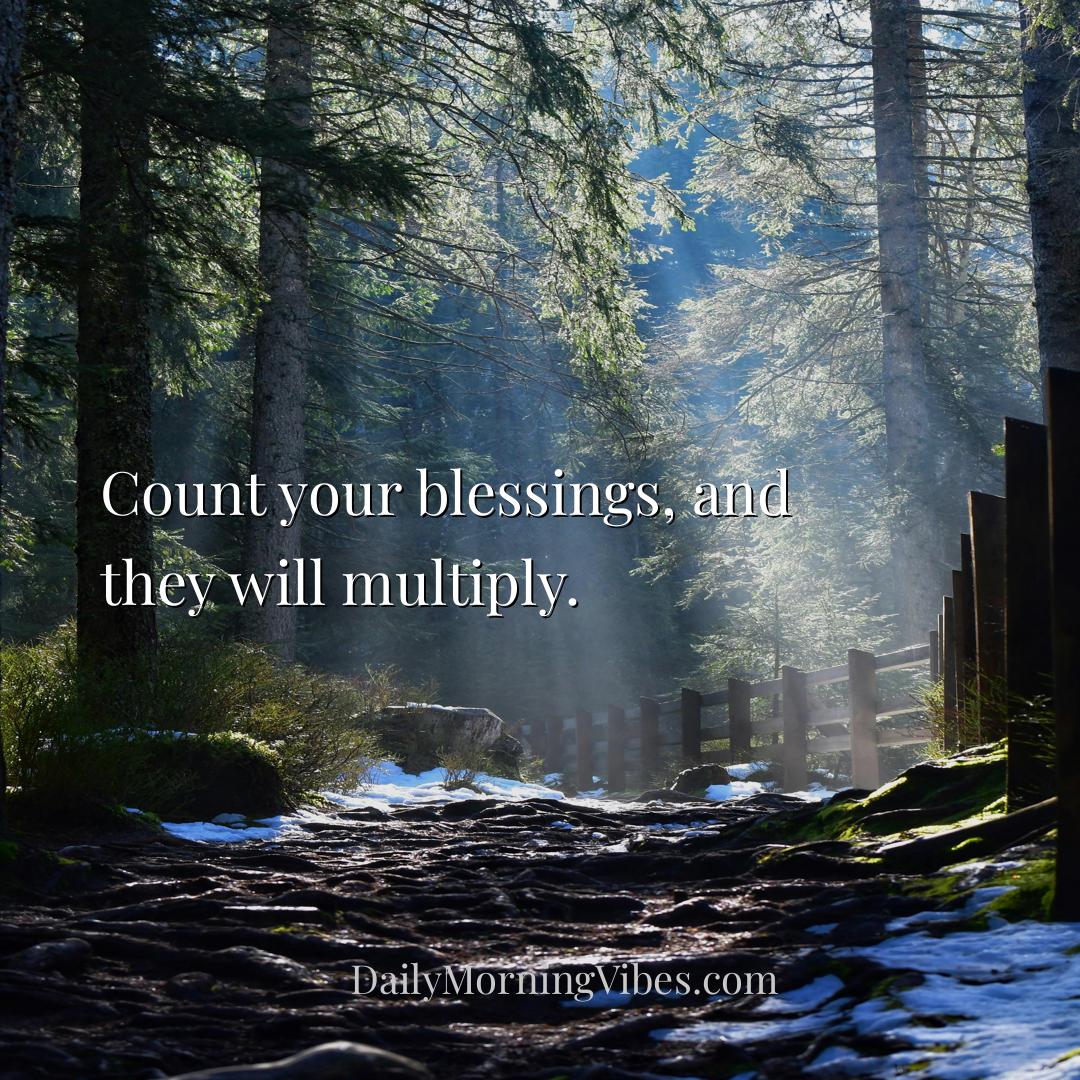 Morning Vibe - Count your blessings, and they will multiply.