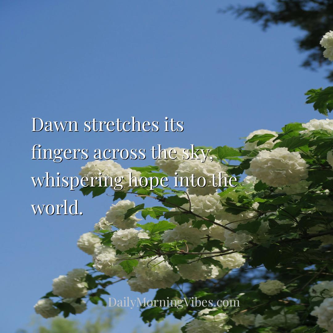 Morning Vibe - Dawn stretches its fingers across the sky, whisper