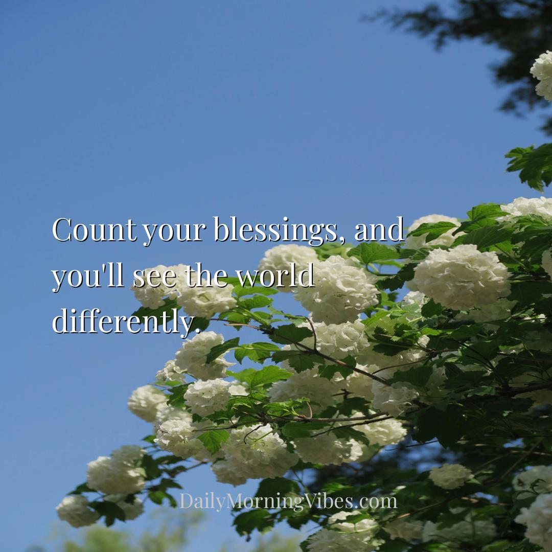 Morning Vibe - Count your blessings, and you'll see the world dif