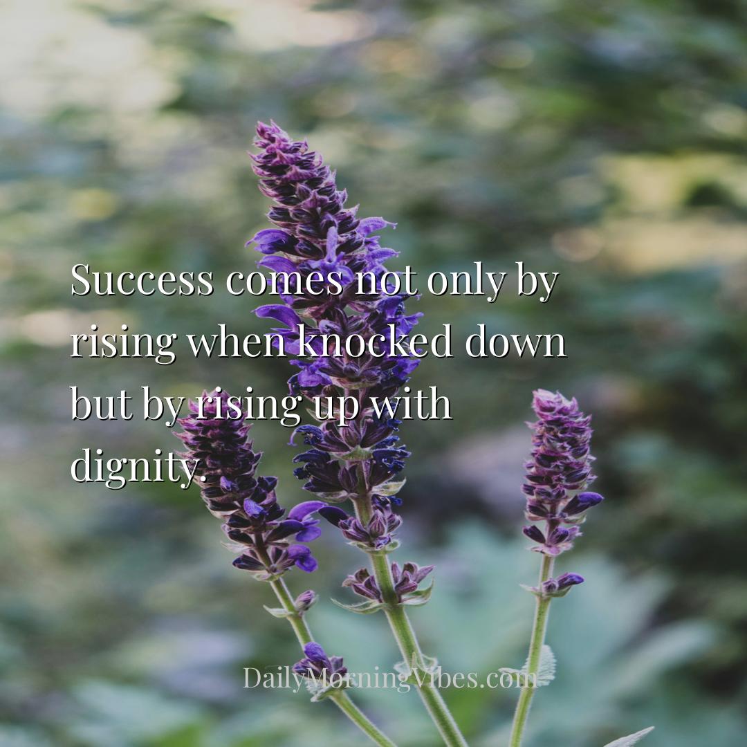 Morning Vibe - Success comes not only by rising when knocked down