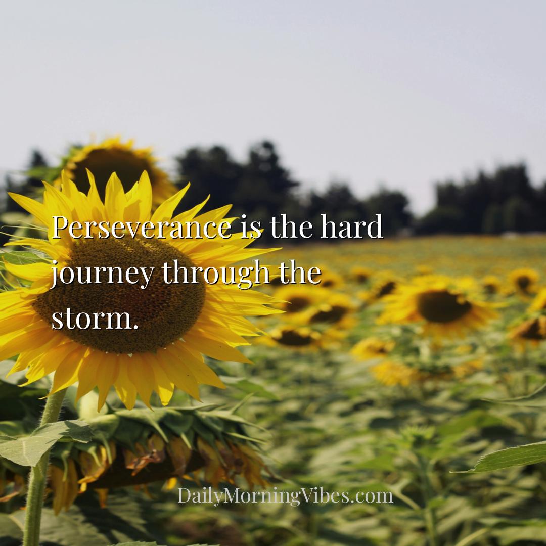 Morning Vibe - Perseverance is the hard journey through the storm