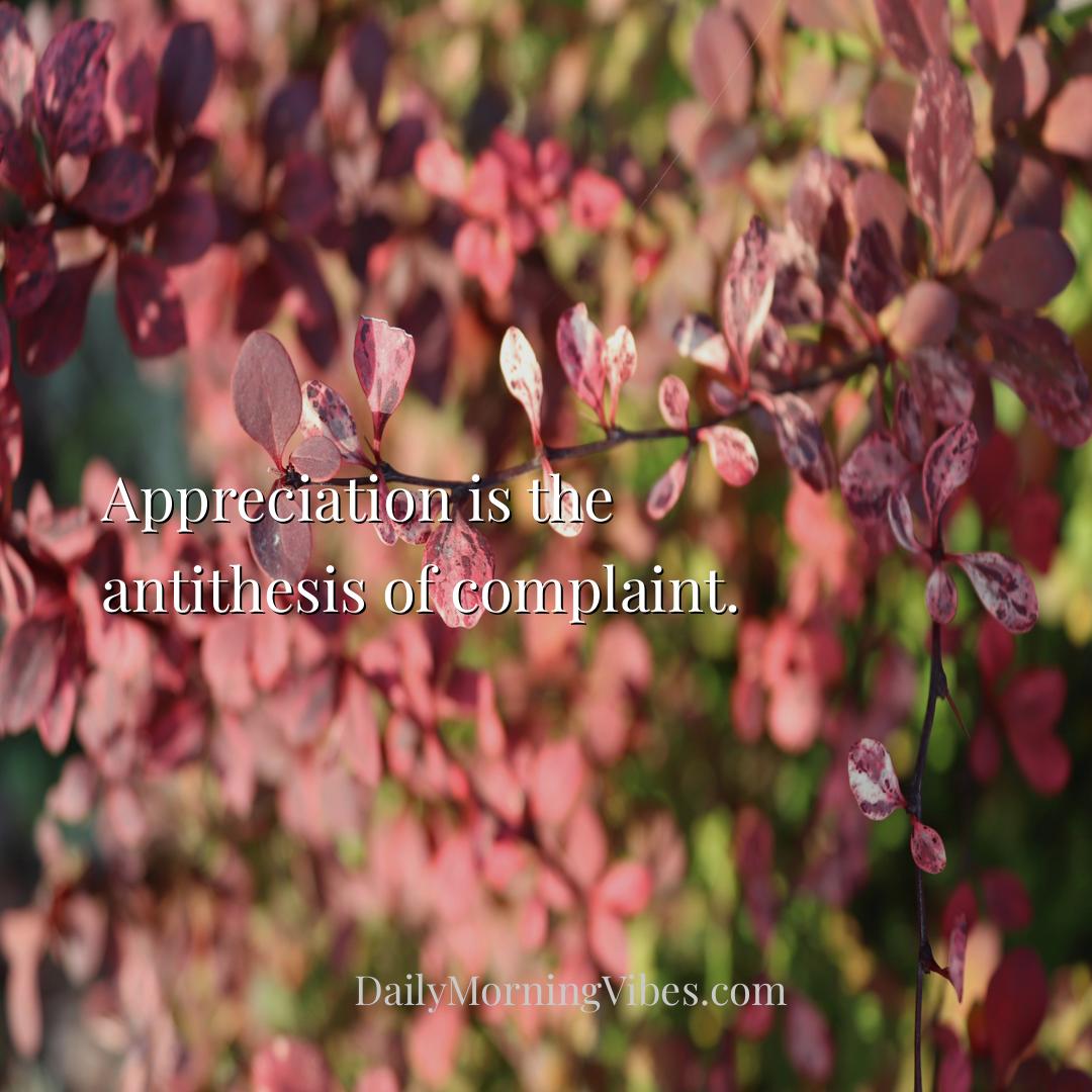 Morning Vibe - Appreciation is the antithesis of complaint.