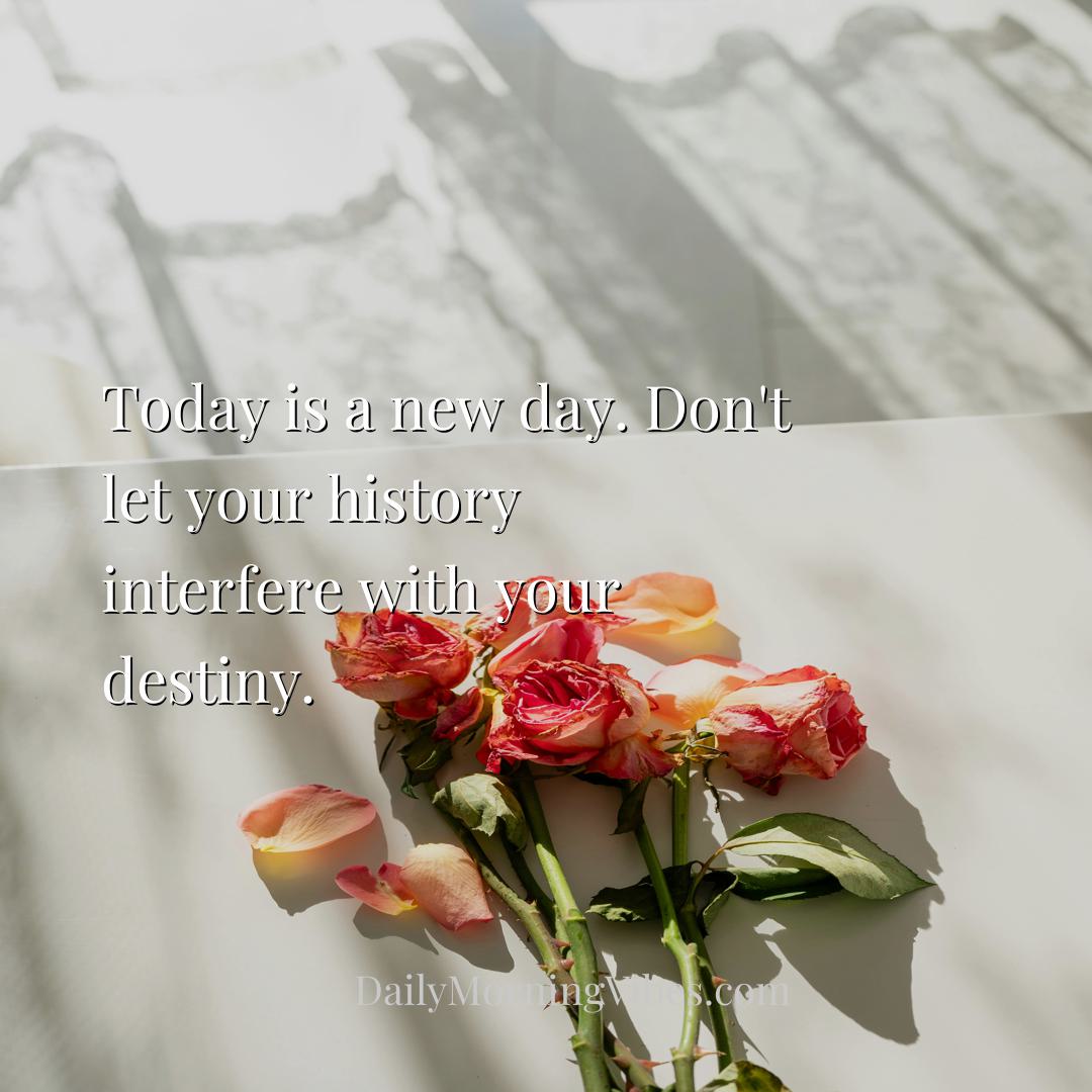 Morning Vibe - Today is a new day. Don't let your history interfe