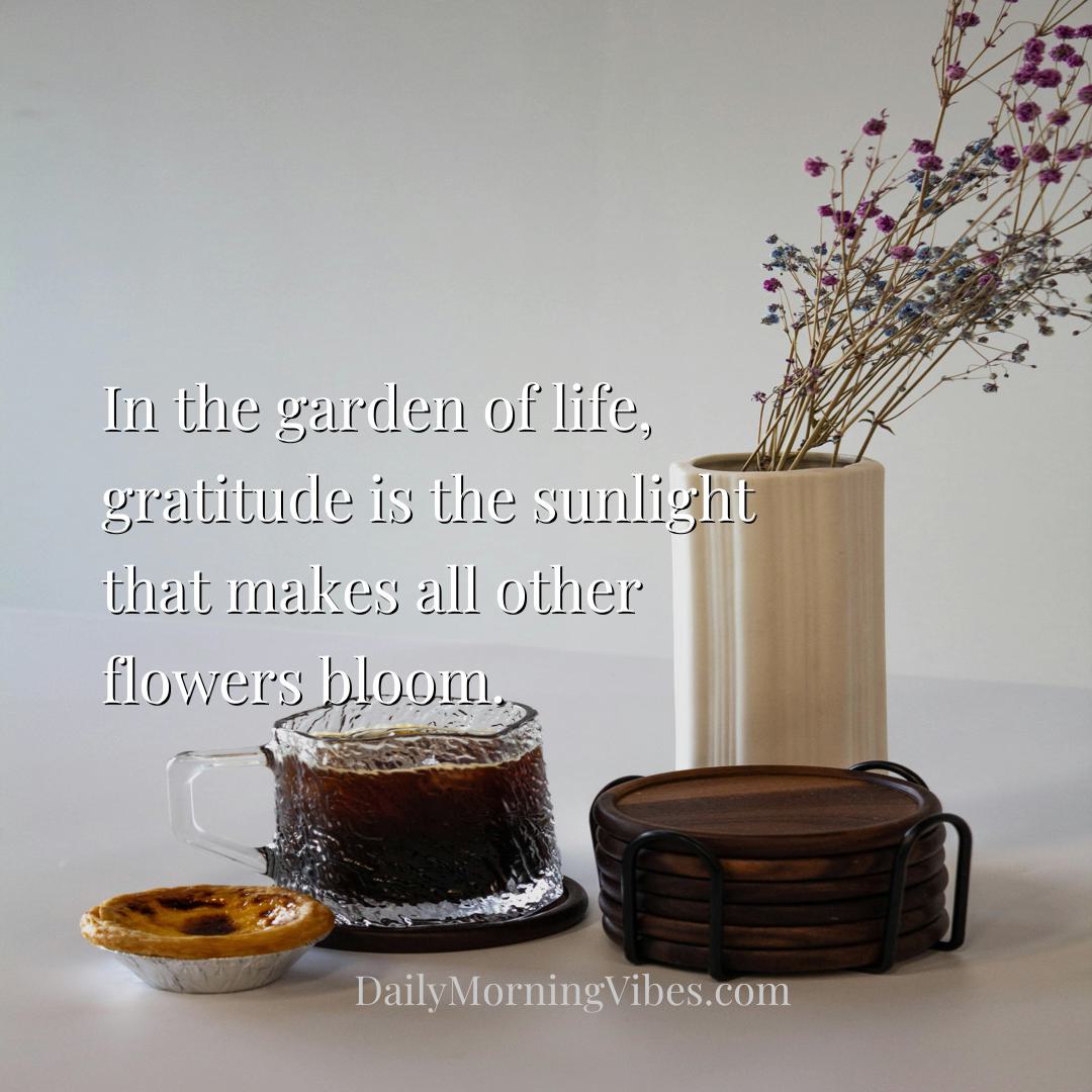 Morning Vibe - In the garden of life, gratitude is the sunlight t