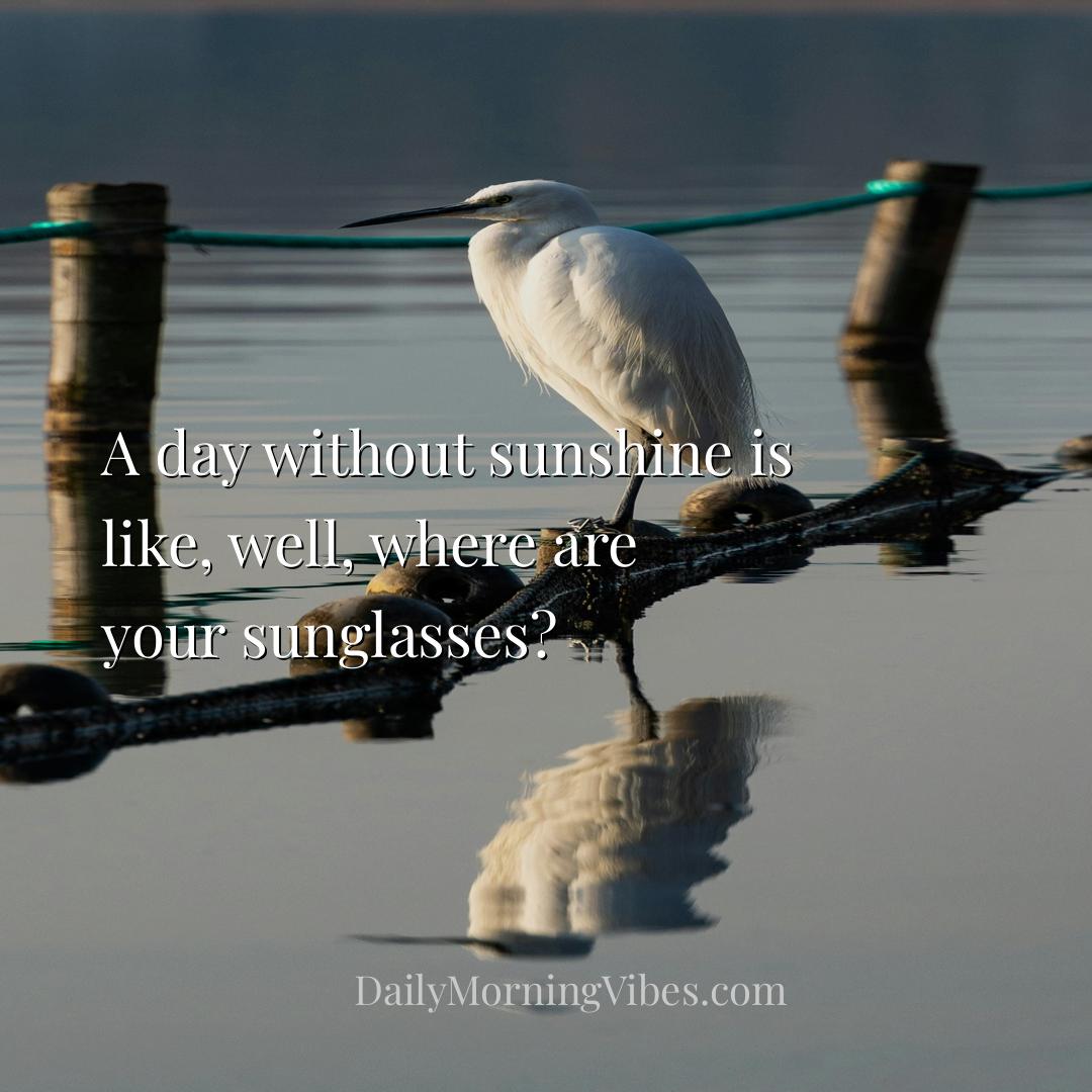 Morning Vibe - A day without sunshine is like, well, where are yo