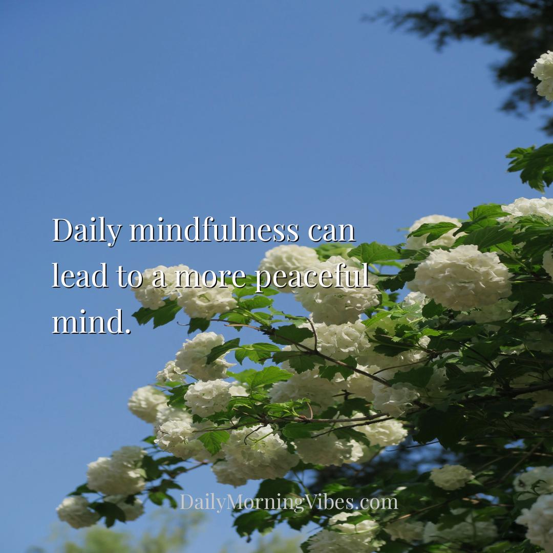 Morning Vibe - Daily mindfulness can lead to a more peaceful mind