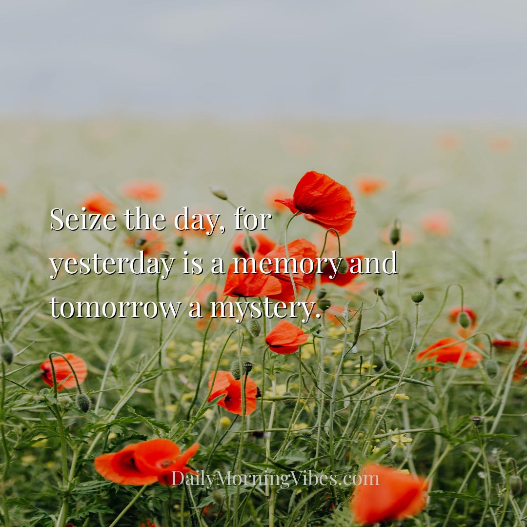Morning Vibe - Seize the day, for yesterday is a memory and tomor