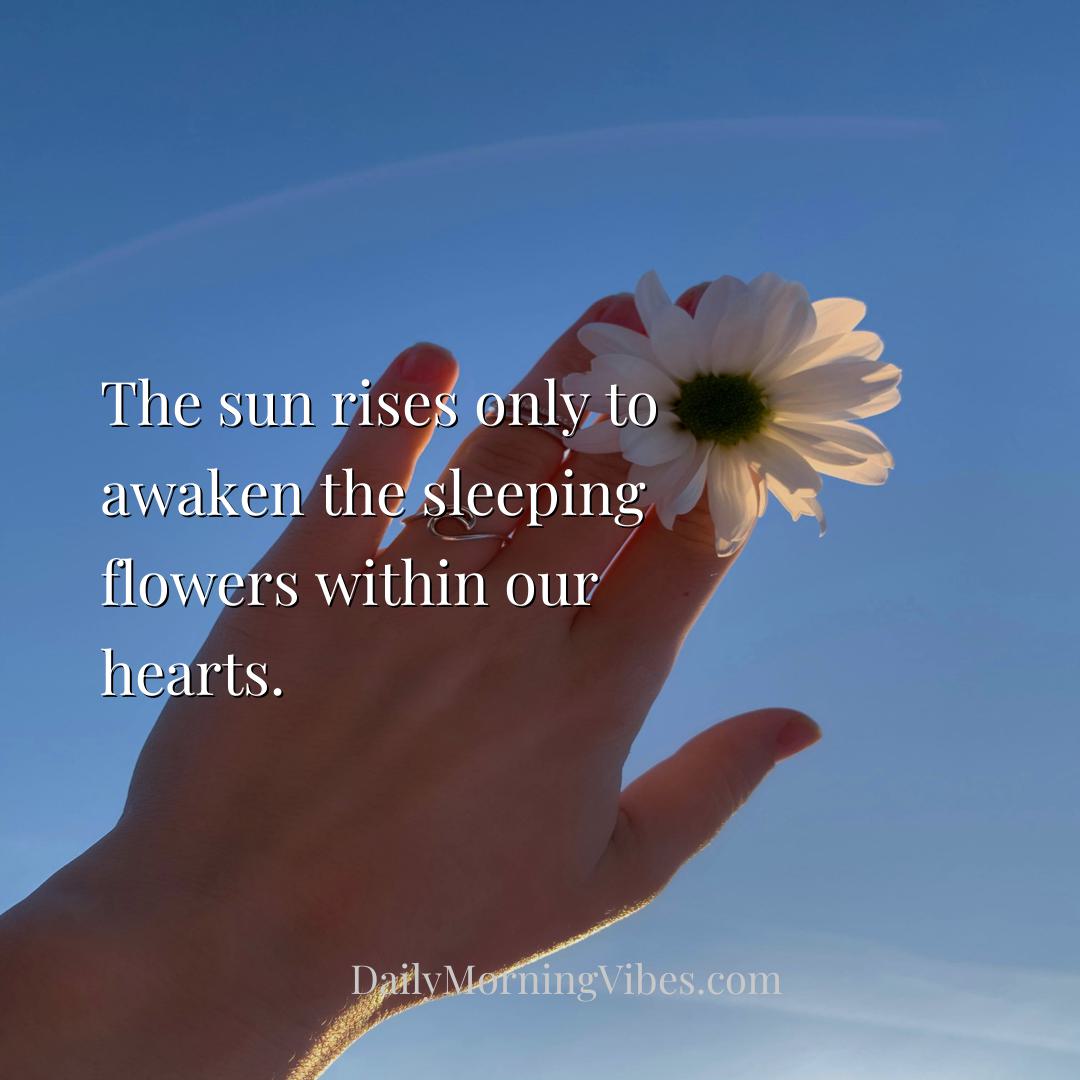 Morning Vibe - The sun rises only to awaken the sleeping flowers 