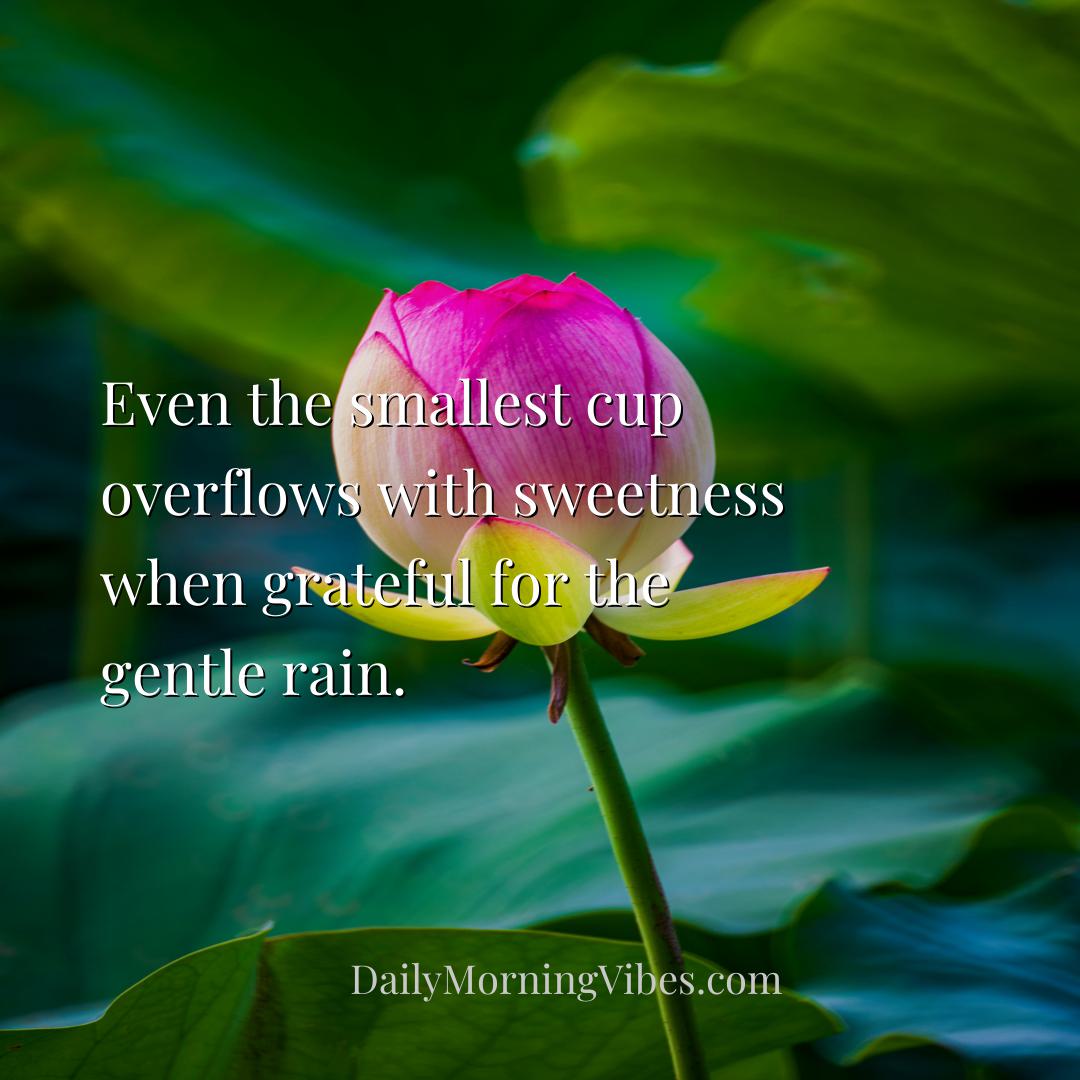 Morning Vibe - Even the smallest cup overflows with sweetness whe