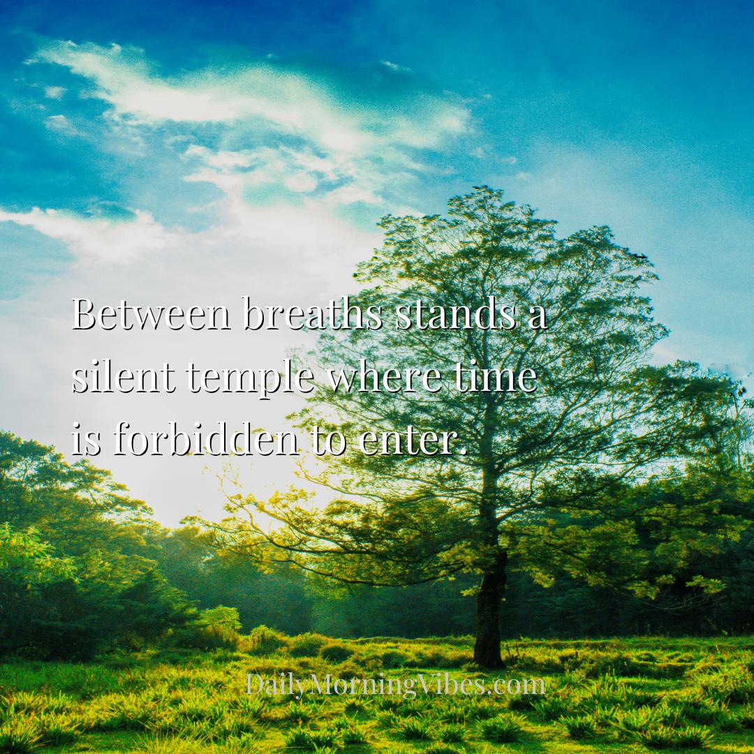 Morning Vibe - Between breaths stands a silent temple where time 