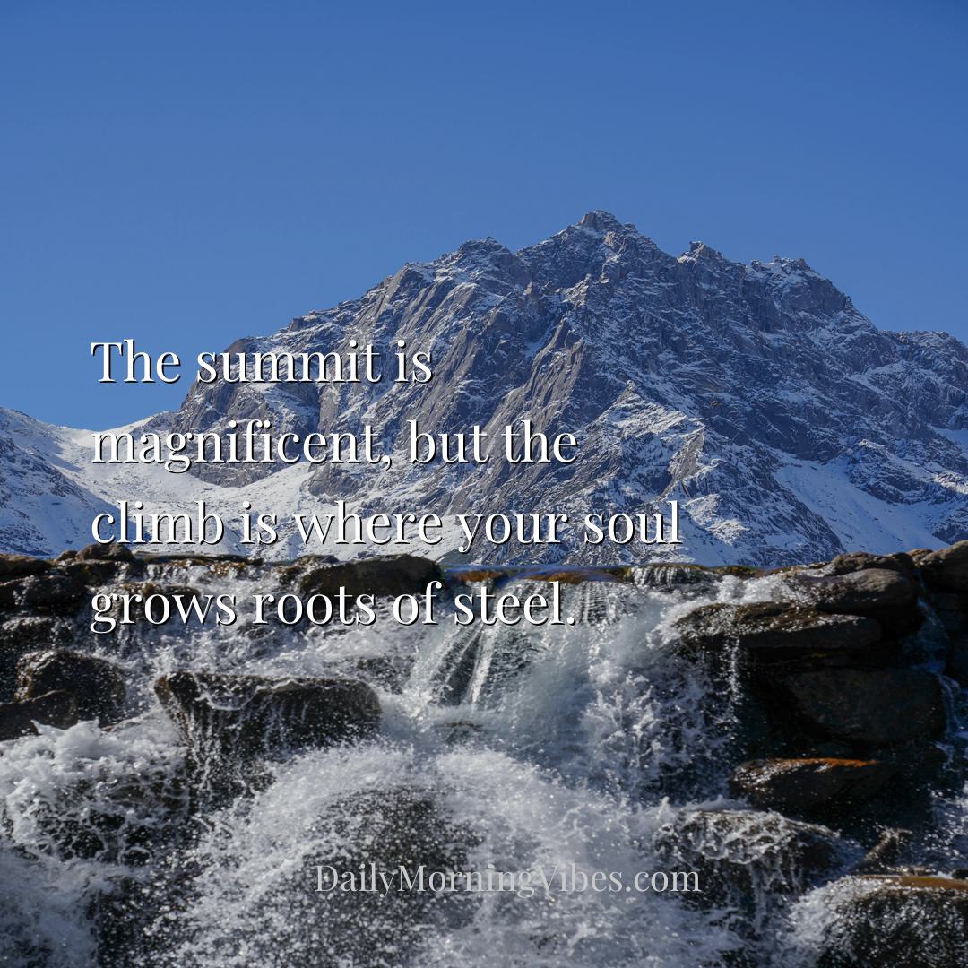 Morning Vibe - The summit is magnificent, but the climb is where 