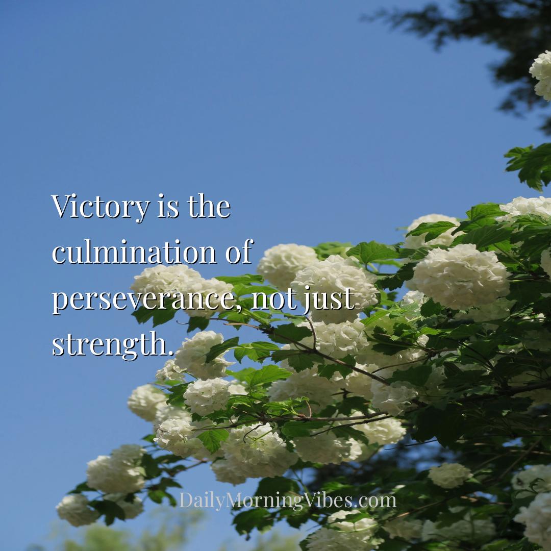 Morning Vibe - Victory is the culmination of perseverance, not ju