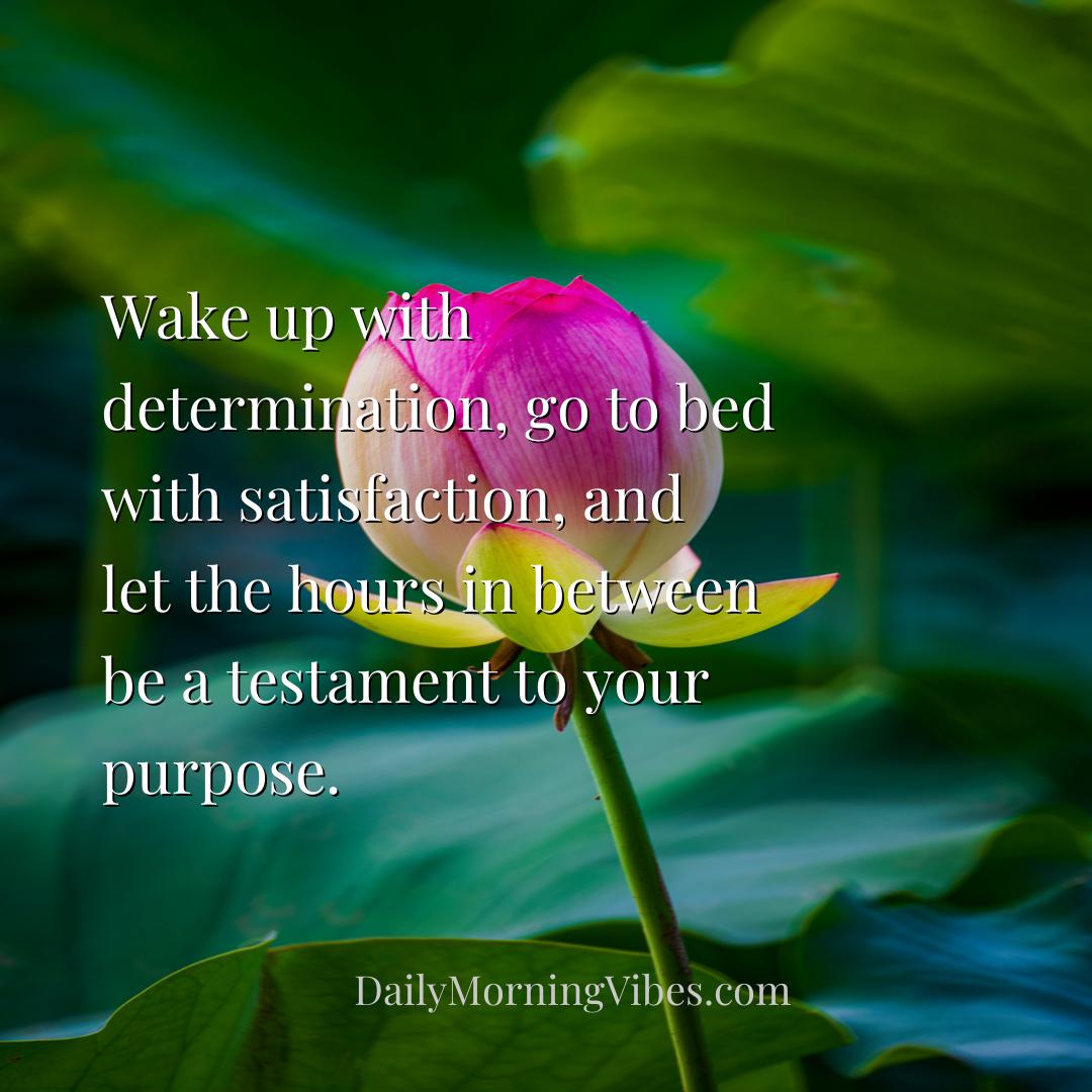 Morning Vibe - Wake up with determination, go to bed with satisfa