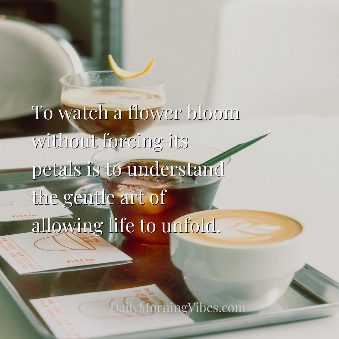 Morning Vibe - To watch a flower bloom without forcing its petals