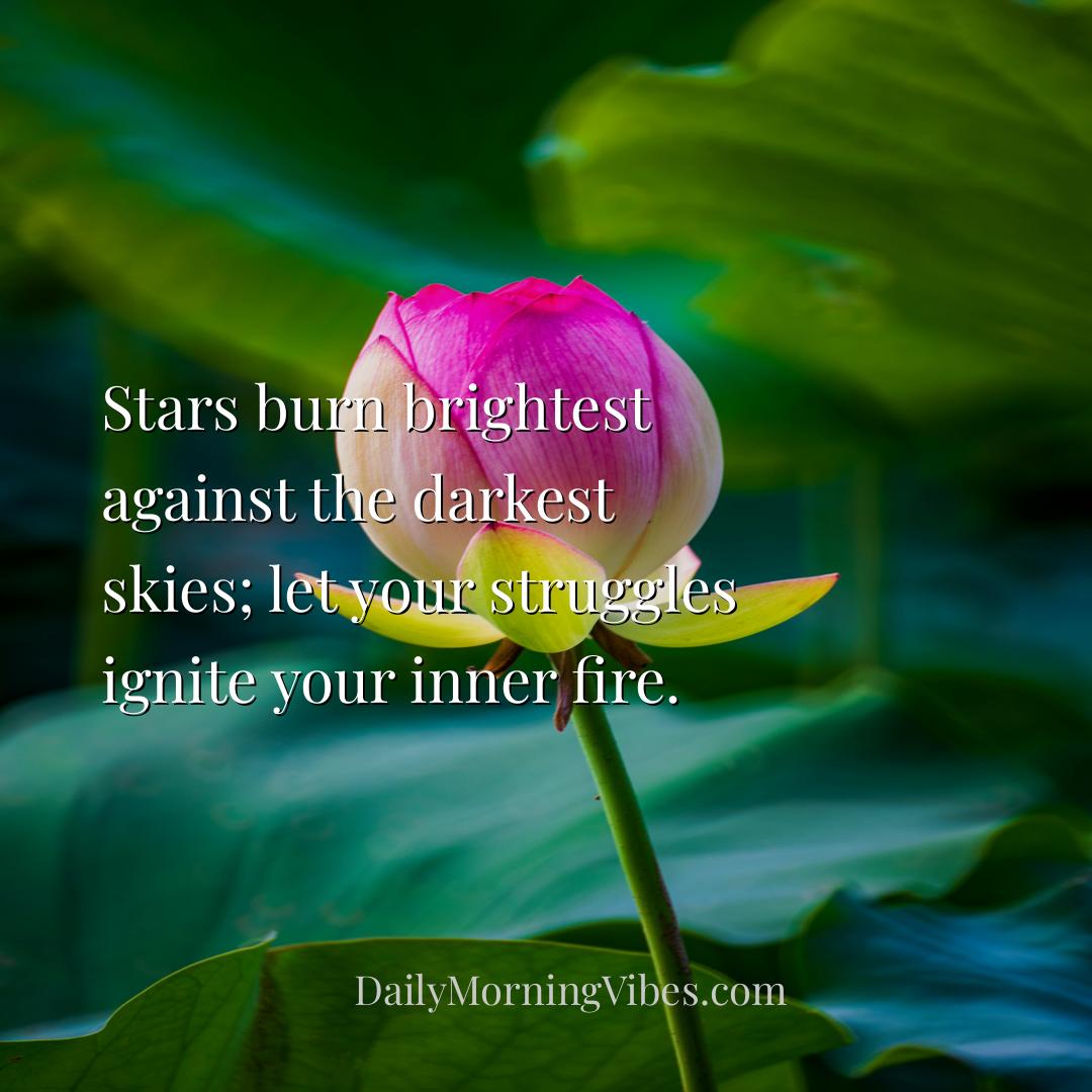 Morning Vibe - Stars burn brightest against the darkest skies; le