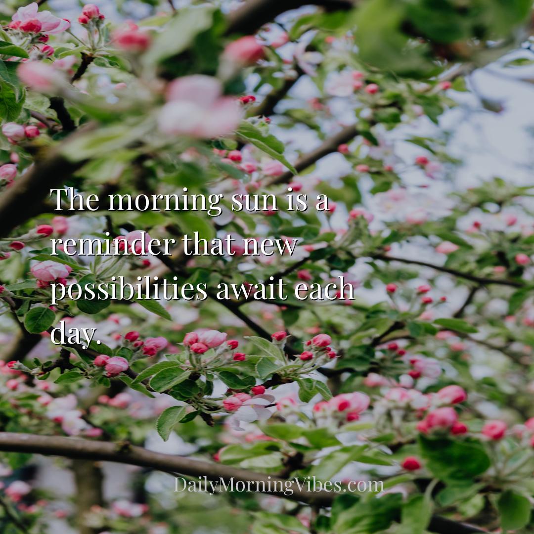 Morning Vibe - The morning sun is a reminder that new possibiliti