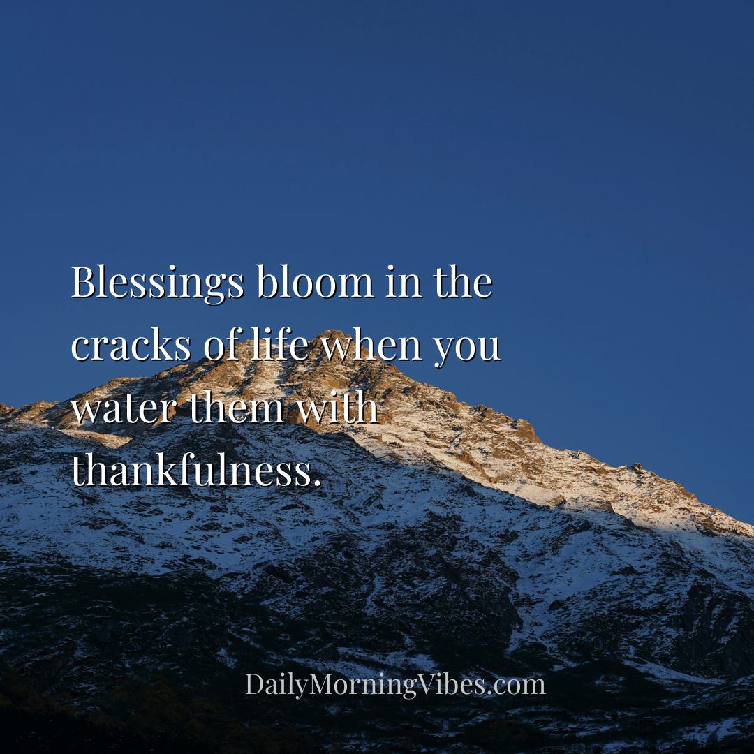 Morning Vibe - Blessings bloom in the cracks of life when you wat